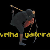 Velha Gaiteira