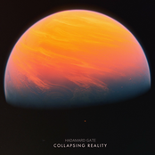 Collapsing Reality