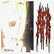 ALL FLESH ROTS