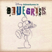 Disney Adventures in Bluegrass