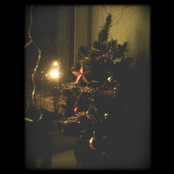 в этот новый год