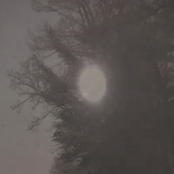 Breakfast in America