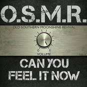 Old Southern Moonshine Revival: Can You Feel It Now