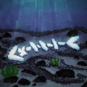 למה הים כחול?