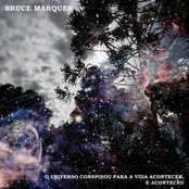 O Universo Conspirou para a Vida Acontecer, e Aconteceu