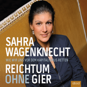 Reichtum ohne Gier (Wie wir uns vor dem Kapitalismus retten)