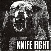 What Have You Done? by Knife Fight