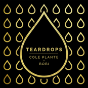 Cole Plante: Teardrops