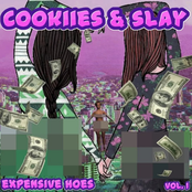 Expensive Hoes, Vol. 1