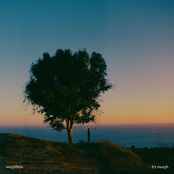 It's Murph: weightless