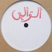 Long Live the Sahrawi Army