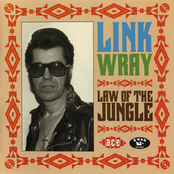 Peggy Sue by Link Wray