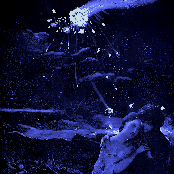 Majestic 12 Have Taken Flight