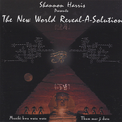 The New World Reveal-A-Solution