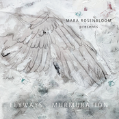 Mara Rosenbloom: Flyways: Murmuration
