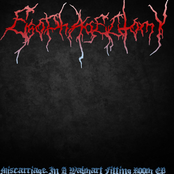 Miscarriage In A Walmart Fitting Room EP