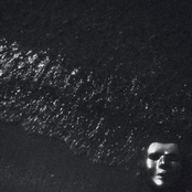 Who Owns The Dark?