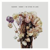 Gimme Love by Sleater-kinney