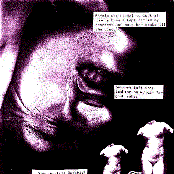 Almost all Real Songs!