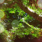 京都/奈良 - Kyōto/Nara