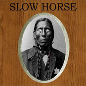 Lick My Wounds by Slow Horse
