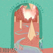 Life in the Tutorial