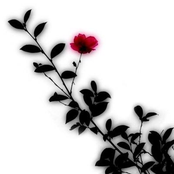 あの日のままで／Ray