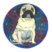 The Flight of Puggy Jackson