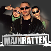 Mainratten