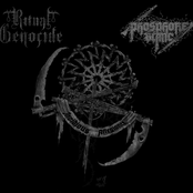 Invidious Allegiance