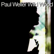 Wild Wood by Paul Weller