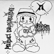 RUIDO DESTRUIDO 2024