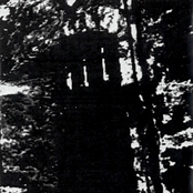 Remnants Of Sacrificial Perversion