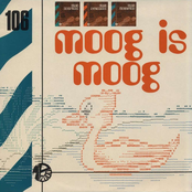 Moog Is Moog