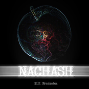 NACHASH