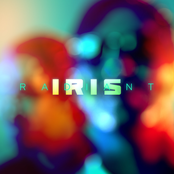 Sight Unseen by Iris