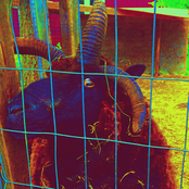 Don't Make Me Drink Alone