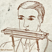 In the Likeness of Oak