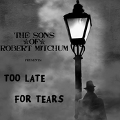 Too Late For Tears