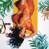 Plett My Net - Single