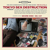 Summer Days by Tokyo Sex Destruction