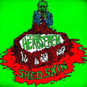 Shed Skin