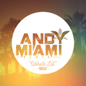 Schönste Zeit (Andy Miami Remix)