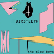 Bird Teeth/The Slow Boys Ride Again