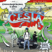 Cesta
