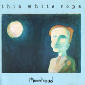 If Those Tears by Thin White Rope