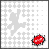 Newer Super Mario Bros. DS