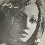 nermin candan