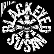 Pack It Up by Blackeyed Susan