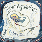 Transfiguration